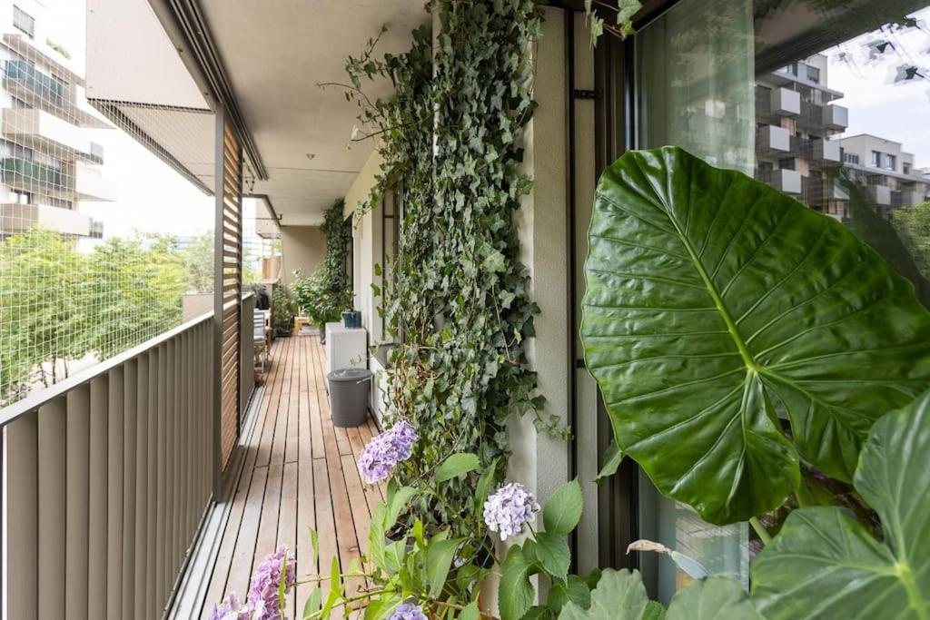 Dream - And Quiet With Ac And Free Parking Garage Appartement *